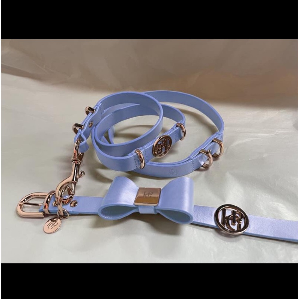 Gold Leather Dog Collar | Gold Hardware and Removable Bow | Small - Picture 7 of 15